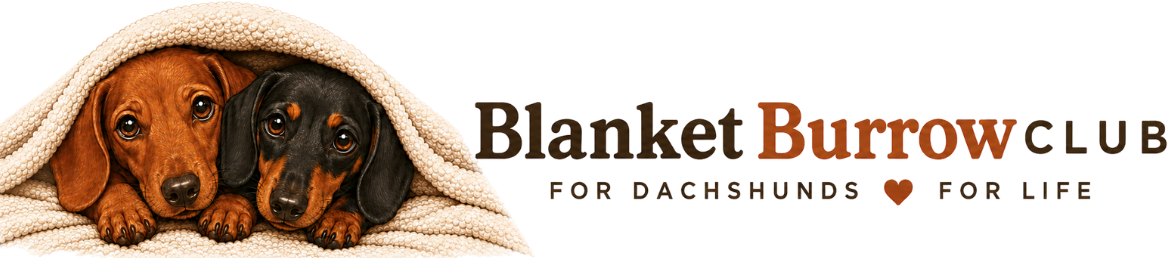 Blanket Burrow Club